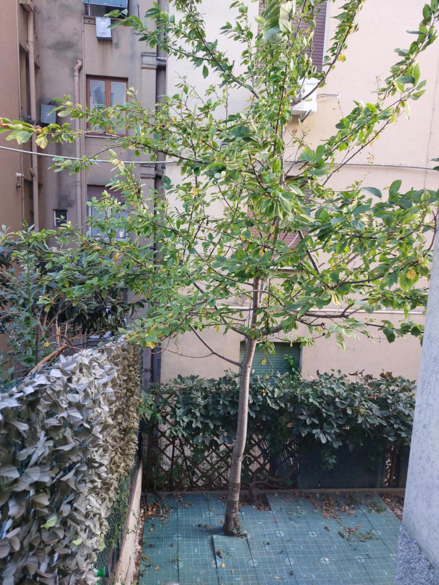Il Ciliegio - Casa Vacanza Macerata Bagian luar foto